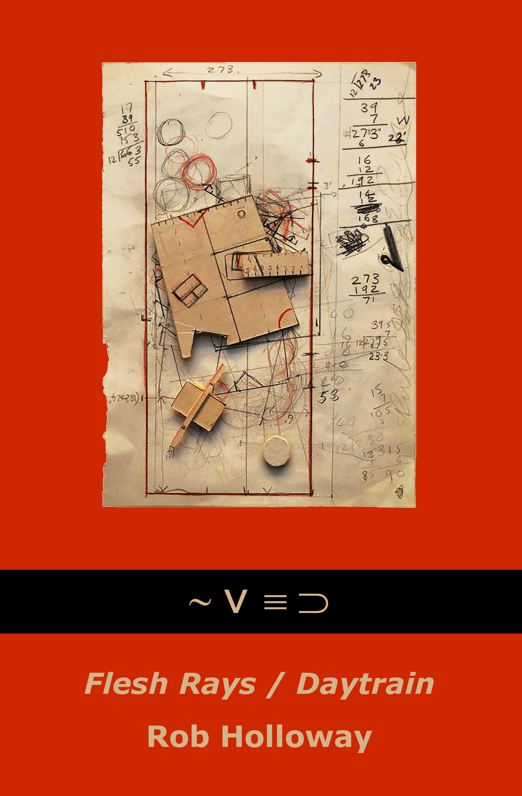 flesh rays daytrain front cover